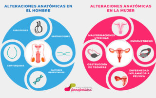 alteraciones de la anatomía que afectan a la fertilidad